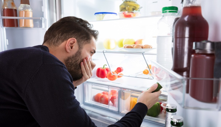 یخچالی که بو نمی‌گیرد ،یخچالی که بو نمی‌گیرد؛ تکنولوژی چطور به حذف بوی بد یخچال کمک می‌کند؟ ،راهکارهای سنتی رفع بوی بد یخچال