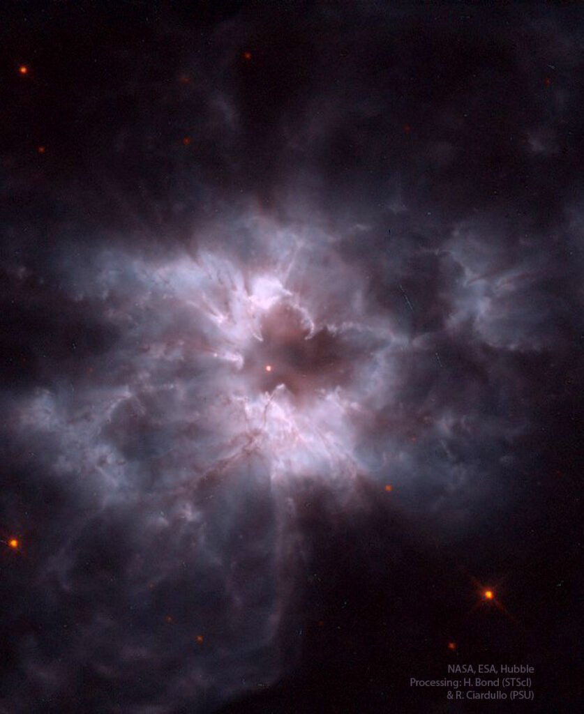 NGC 2440، پیله یک کوتوله سفید جدید
