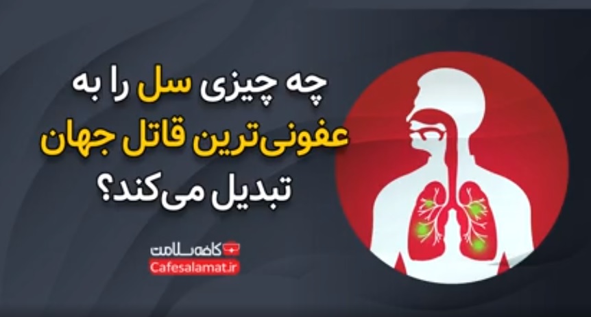 چه چیزی سل را به عفونی‌ترین قاتل جهان تبدیل می‌کند؟