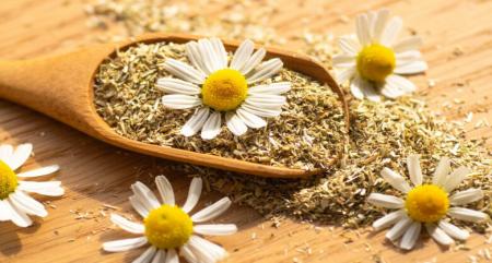 با گیاه دارویی بابونه کیفیت خوابتان را بالا ببرید