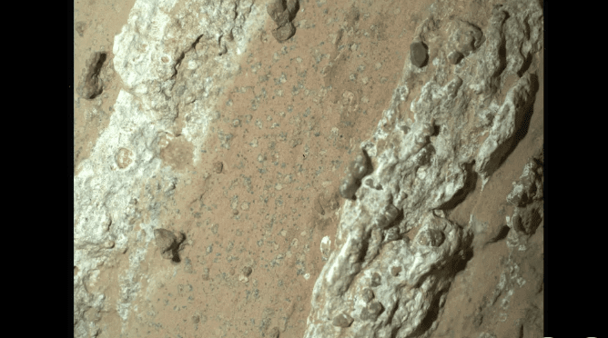 مریخ‌نورد استقامت