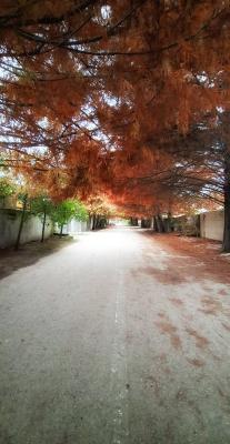 این تصویر رویایی در روستای زرین‌کلای ساری ثبت شده است
